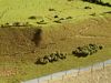 Omaha beach by Paul Gardner (6mm scale)