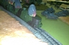 Polish armoured train in action (15mm scale)